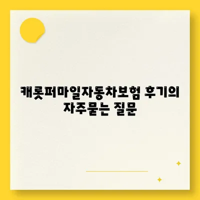 캐롯퍼마일자동차보험 후기