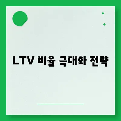 LTV 비율 극대화 전략