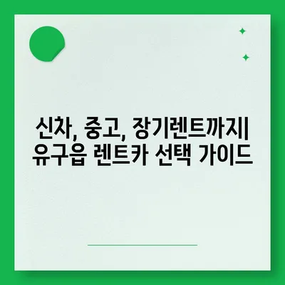 충청남도 공주시 유구읍 렌트카 가격비교 | 리스 | 장기대여 | 1일비용 | 비용 | 소카 | 중고 | 신차 | 1박2일 2024후기