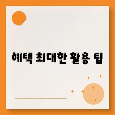 혜택 최대한 활용 팁