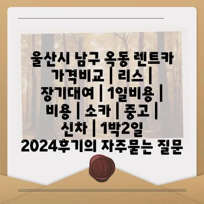 울산시 남구 옥동 렌트카 가격비교 | 리스 | 장기대여 | 1일비용 | 비용 | 소카 | 중고 | 신차 | 1박2일 2024후기