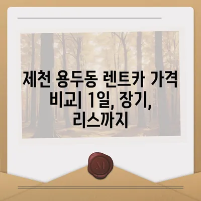 충청북도 제천시 용두동 렌트카 가격비교 | 리스 | 장기대여 | 1일비용 | 비용 | 소카 | 중고 | 신차 | 1박2일 2024후기