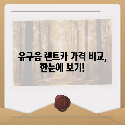 충청남도 공주시 유구읍 렌트카 가격비교 | 리스 | 장기대여 | 1일비용 | 비용 | 소카 | 중고 | 신차 | 1박2일 2024후기