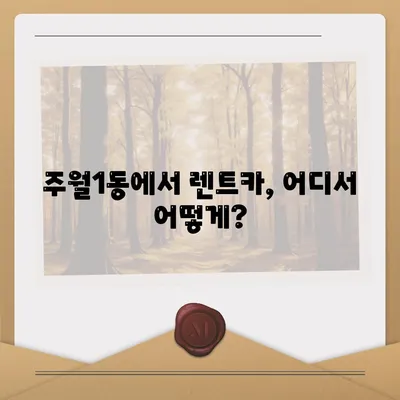 광주시 남구 주월1동 렌트카 가격비교 | 리스 | 장기대여 | 1일비용 | 비용 | 소카 | 중고 | 신차 | 1박2일 2024후기