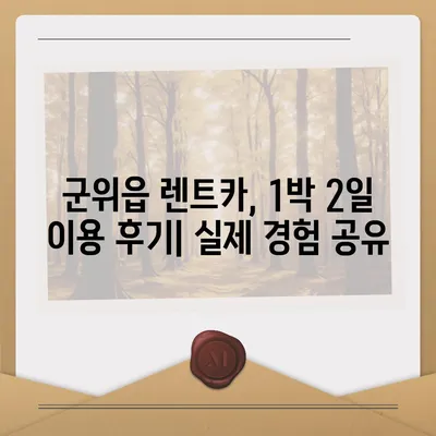 대구시 군위군 군위읍 렌트카 가격비교 | 리스 | 장기대여 | 1일비용 | 비용 | 소카 | 중고 | 신차 | 1박2일 2024후기