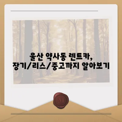 울산시 중구 약사동 렌트카 가격비교 | 리스 | 장기대여 | 1일비용 | 비용 | 소카 | 중고 | 신차 | 1박2일 2024후기