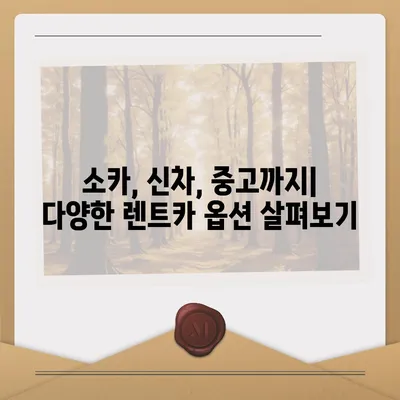 광주시 동구 산수2동 렌트카 가격비교 | 리스 | 장기대여 | 1일비용 | 비용 | 소카 | 중고 | 신차 | 1박2일 2024후기