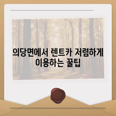 충청남도 공주시 의당면 렌트카 가격비교 | 리스 | 장기대여 | 1일비용 | 비용 | 소카 | 중고 | 신차 | 1박2일 2024후기