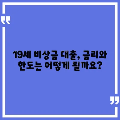 만 19세 비상금대출 신청