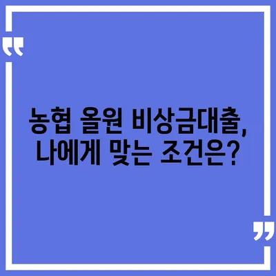 농협 올원 비상금대출, 급할 때 바로 받는 방법 | 비상금대출, 긴급자금, 대출조건, 신청방법