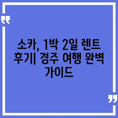 경상북도 경주시 황오동 렌트카 가격비교 | 리스 | 장기대여 | 1일비용 | 비용 | 소카 | 중고 | 신차 | 1박2일 2024후기