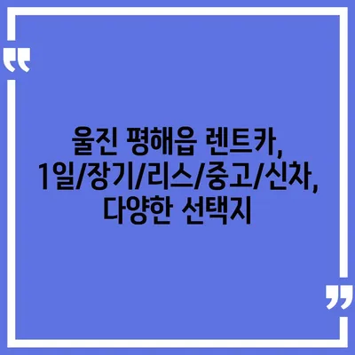 경상북도 울진군 평해읍 렌트카 가격비교 | 리스 | 장기대여 | 1일비용 | 비용 | 소카 | 중고 | 신차 | 1박2일 2024후기