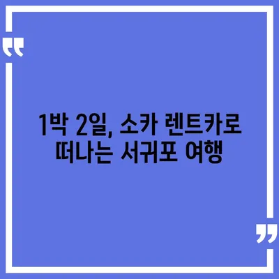 제주도 서귀포시 대정읍 렌트카 가격비교 | 리스 | 장기대여 | 1일비용 | 비용 | 소카 | 중고 | 신차 | 1박2일 2024후기