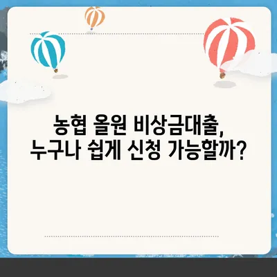 농협 올원 비상금대출, 급할 때 바로 받는 방법 | 비상금대출, 긴급자금, 대출조건, 신청방법