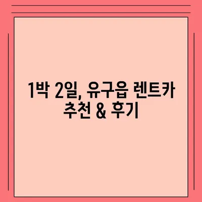 충청남도 공주시 유구읍 렌트카 가격비교 | 리스 | 장기대여 | 1일비용 | 비용 | 소카 | 중고 | 신차 | 1박2일 2024후기