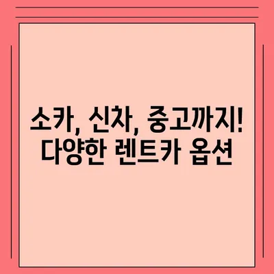 부산시 중구 창선1동 렌트카 가격비교 | 리스 | 장기대여 | 1일비용 | 비용 | 소카 | 중고 | 신차 | 1박2일 2024후기