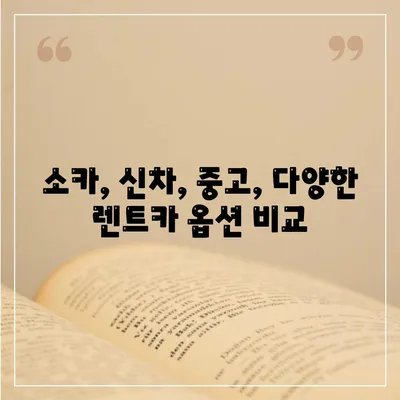 부산시 남구 용호4동 렌트카 가격비교 | 리스 | 장기대여 | 1일비용 | 비용 | 소카 | 중고 | 신차 | 1박2일 2024후기