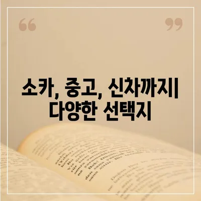 인천시 계양구 계양2동 렌트카 가격비교 | 리스 | 장기대여 | 1일비용 | 비용 | 소카 | 중고 | 신차 | 1박2일 2024후기