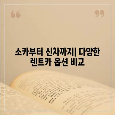 충청북도 청주시 서원구 성화동 렌트카 가격비교 | 리스 | 장기대여 | 1일비용 | 비용 | 소카 | 중고 | 신차 | 1박2일 2024후기