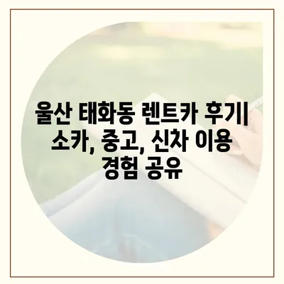 울산시 중구 태화동 렌트카 가격비교 | 리스 | 장기대여 | 1일비용 | 비용 | 소카 | 중고 | 신차 | 1박2일 2024후기