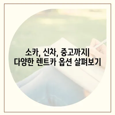 광주시 서구 금호1동 렌트카 가격비교 | 리스 | 장기대여 | 1일비용 | 비용 | 소카 | 중고 | 신차 | 1박2일 2024후기