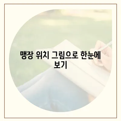 여성의 맹장 위치| 그림과 설명으로 알아보기 | 여성, 맹장, 위치, 해부학