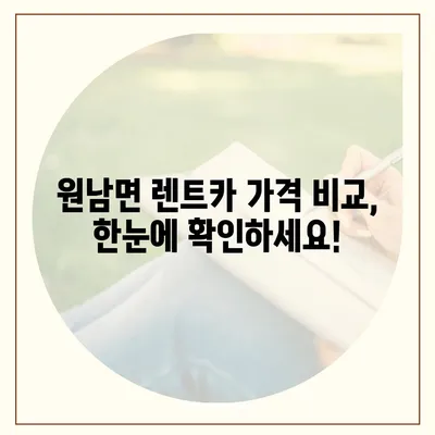 충청북도 음성군 원남면 렌트카 가격비교 | 리스 | 장기대여 | 1일비용 | 비용 | 소카 | 중고 | 신차 | 1박2일 2024후기