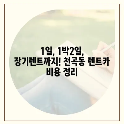 강원도 동해시 천곡동 렌트카 가격비교 | 리스 | 장기대여 | 1일비용 | 비용 | 소카 | 중고 | 신차 | 1박2일 2024후기