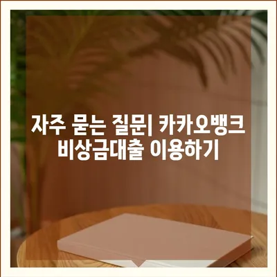 카카오뱅크 pc버전 비상금대출