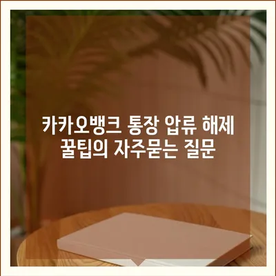 카카오뱅크 통장 압류 해제 꿀팁