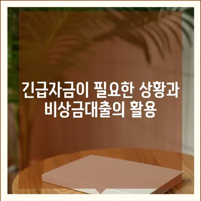 카카오뱅크 비상금대출