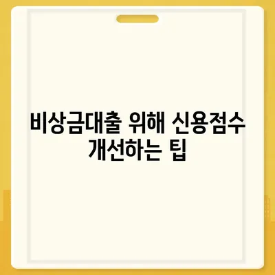 카카오뱅크 비상금대출 신용점수