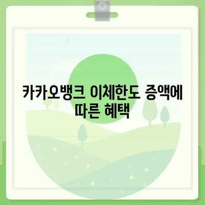 카카오뱅크 이체한도 증액