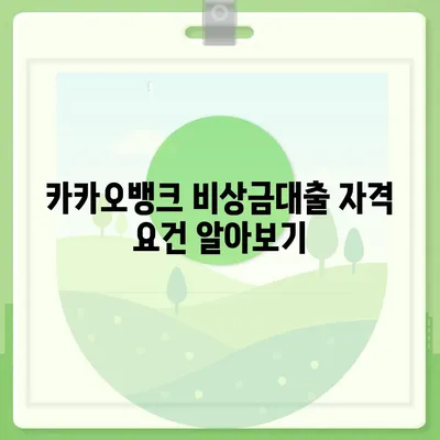 카카오뱅크 비상금대출 조건