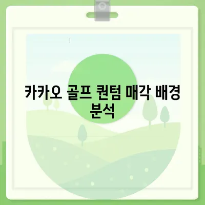 카카오 골프 퀀텀 매각 이슈 대응