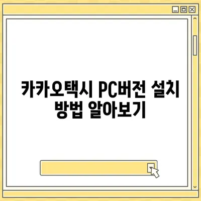 카카오택시 pc버전