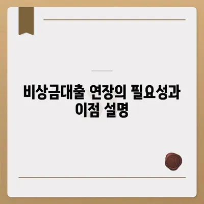 카카오뱅크 비상금대출 연장