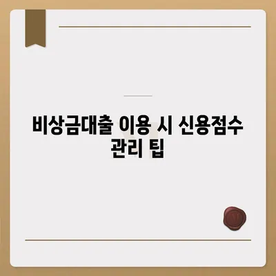 카카오뱅크 pc버전 비상금대출 pc버전 신용점수