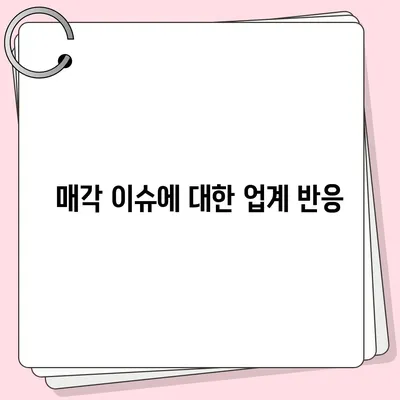 카카오골프퀀텀 매각 이슈 논란과 대응 방안