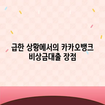 카카오뱅크 pc버전 비상금대출