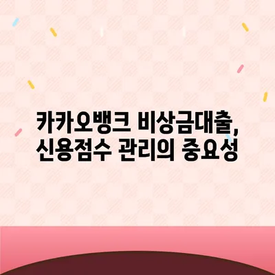 카카오뱅크 비상금대출 신용점수