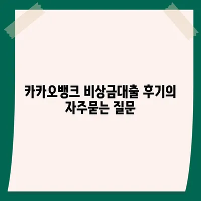 카카오뱅크 비상금대출 후기