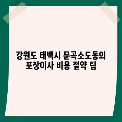 강원도 태백시 문곡소도동 포장이사비용 | 견적 | 원룸 | 투룸 | 1톤트럭 | 비교 | 월세 | 아파트 | 2024 후기