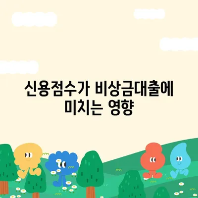 카카오뱅크 pc버전 비상금대출 신용점수