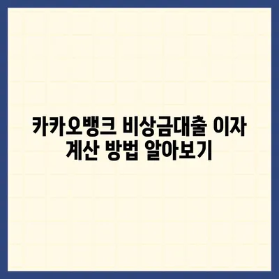 카카오뱅크 pc버전 비상금대출이자