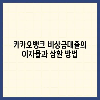 카카오뱅크 비상금대출