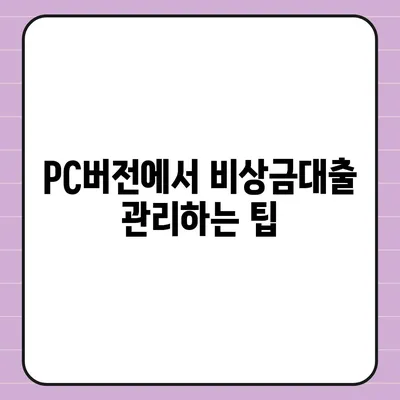 카카오뱅크 pc버전 비상금대출