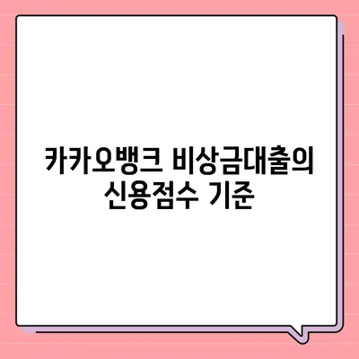 카카오뱅크 비상금대출 신용점수