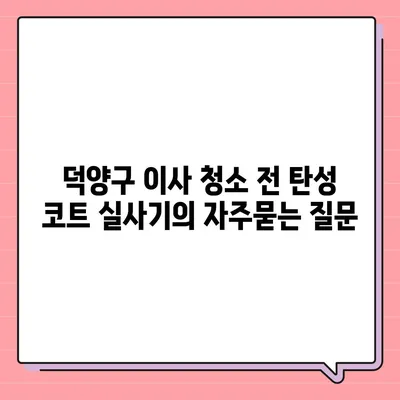 덕양구 이사 청소 전 탄성 코트 실사기