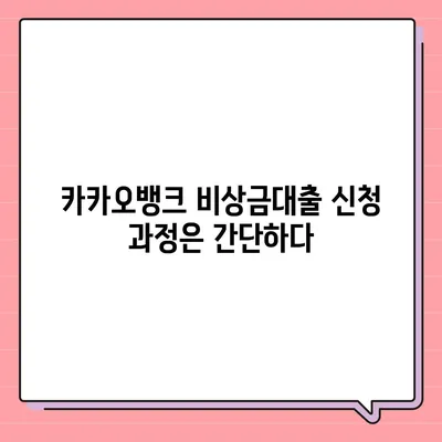 카카오뱅크 비상금대출 후기